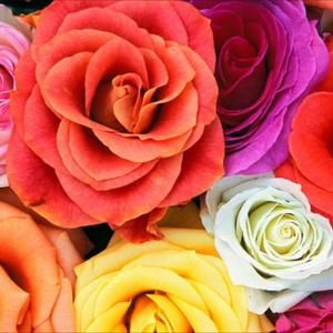 Meet your Posher, Mohammad